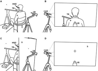Interoceptive Awareness Is Negatively Related to the Exteroceptive Manipulation of Bodily Self-Location